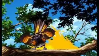 American Redstart Firestorm