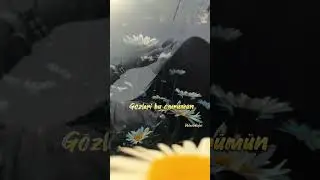 💞🌼