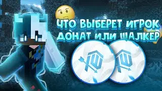 ЧТО ВЫБЕРЕТ ИГРОК? ДОНАТ или ШАЛКЕР в Майнкрафт...