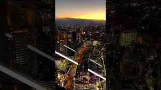 shibuya scramble