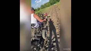 Копаем картошку 😊