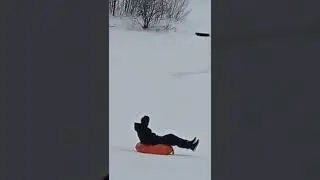 #фурри