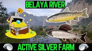 Russian Fishing 4 How to make FAST & EASY Silver (Belaya River)