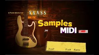 El tan esperado EXPERIMENTA XBASS una calidad impresionante