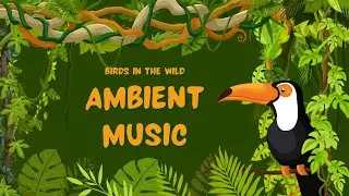Ambient Music With Birds Singing | Relaxation Music For Remove Stress