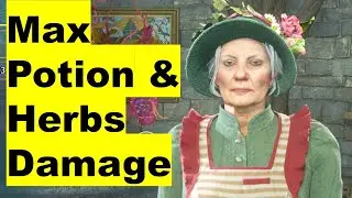 Potions & Herbology Guide, Room or Requirement HACKS in Hogwarts Legacy
