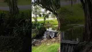Водопад🧘‍♀️#пхукет #тай #таиланд #водопад #парк #релаксация #ретрит #waterfall #thai#phuket #relax