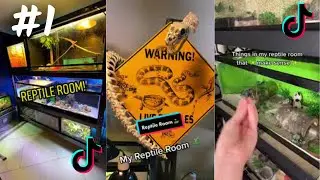 Reptile Room Contents TikTok Compilation  2023  4K