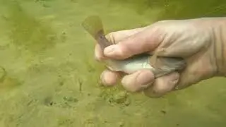 Балтійське море.