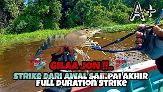 Mancing udang galah A+ kapuas tayan GILLAA!!! full durasi strike terus