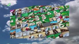 Showcase and Examples of Successful sincosilicone Customers sample product