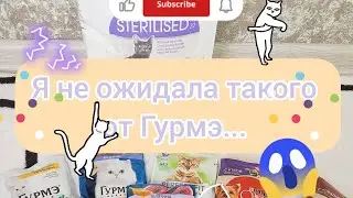 Я расстроилась в Гурмэ... #кошачийкорм #котики #собачки #ася #дарвин #пухлыйкотик #котикблогер