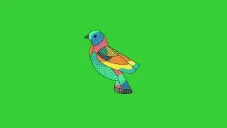 Bird Fly/flapping - Green Screen - Copyrights Free