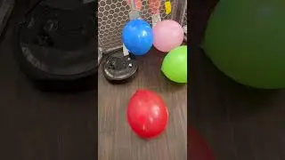 Roomba Balloon Roulette 😱