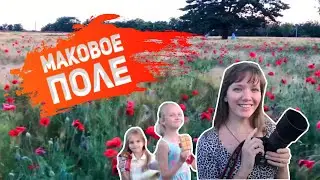 Вечер в маковом поле в ЮМР Краснодара 😍