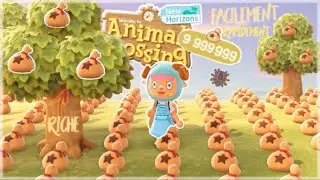 ANIMAL CROSSING NEW HORIZONS TUTO : 10 ASTUCES POUR DEVENIR RICHE RAPIDEMENT !!!