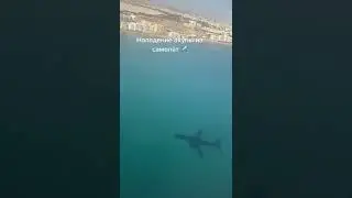 Акула напала на самолет