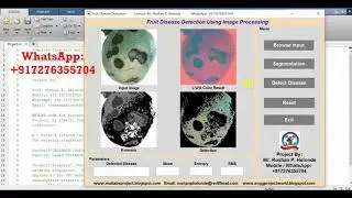 Matlab Project on Fruit Disease Detection Using Image Processing Full Source Code