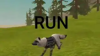 ...........RUN!!!