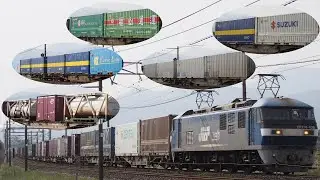 東海道本線 貨物撮影記　2024.3.30