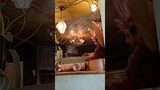 кафе Фрида мексиканская кухня Санкт -Петербург, Frida mexican cafe Saint -Petersburg must visit