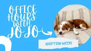 LIFE UPDATE - NEW DOGGO!