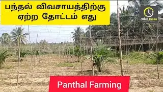 பந்தல் விவசாயத்திற்கு ஏற்ற தோட்டம் எது Panthal Farming