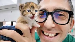 ÇOK GÜZEL DEĞİL Mİ? 🥰