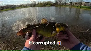 USING $1 WALMART lure + Dock Runner  NEW SPECIES