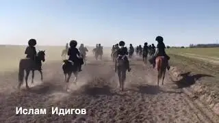 Ислам Идигов - Аулы горные 