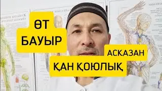 ӨТ, БАУЫР, АСҚАЗАН АУРУЛАРЫ.  ШӨЛ ҚАНБАУ СЕБЕБІ