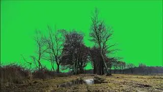 Tree green screen video, Green screen tree, tree green screen effect kinemaster, P-66