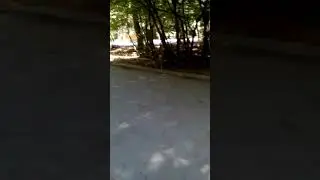 В ботаническом саду