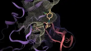 Starting with 3decision®: exploration of Ikaros protein family – a molecular glue use case