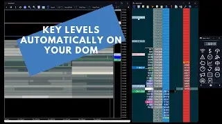 daytradr 5 Beta - Auto Levels - Let Your DOM Do The Homework For You