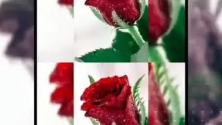 Я БУДУ ЖИТ ВАРАВСКОЙ/АЗЕРБАЙДЖАНСКОЙ/АРМЯНСКИЙ/ТУРЕЦКИЙ/РУСКИ/ПЕСНИ/ДЛА/ЗАКЛУЧОНИ/ЗИКОВ/БРАДЯГА
