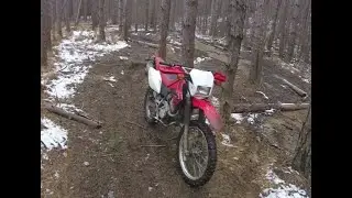 CRF230L Trail Ride at AOAA 2-8-20