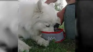Дорожные миски Фидин