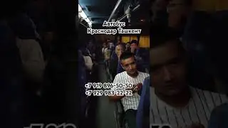 ￼ Краснодар Ташкент автобус, Ростов-на-Дону Ташкент автобус, Краснодар Ташкент автобус рейсовый