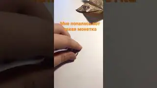 #интересное_видео