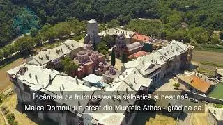 Pelerinaj de o zi la Muntele Athos