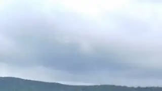 Опааа. Какая у нас погода