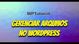 Gerenciar Arquivos do Wordpress só com navegador (sem FTP)