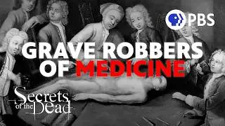 Why did 18th century students steal bodies from cemeteries?
