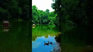 #nature #beaty #life #природа #озеро #красота #качели #жизнь  #hopec ore