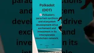 Polkadot DOT
