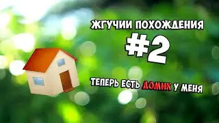 LP #2 ЖГУЧИИ ПОХОЖДЕНИЯ