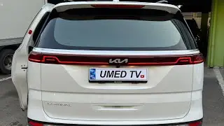 Умед тв ✅🤝🫂👍🏽👍🏽
