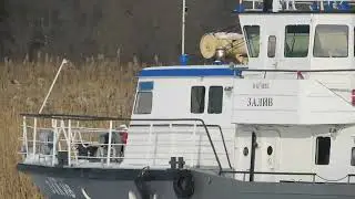 вот где они зимуют
