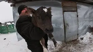 У НАС ОПЯТЬ БЫЧОК!